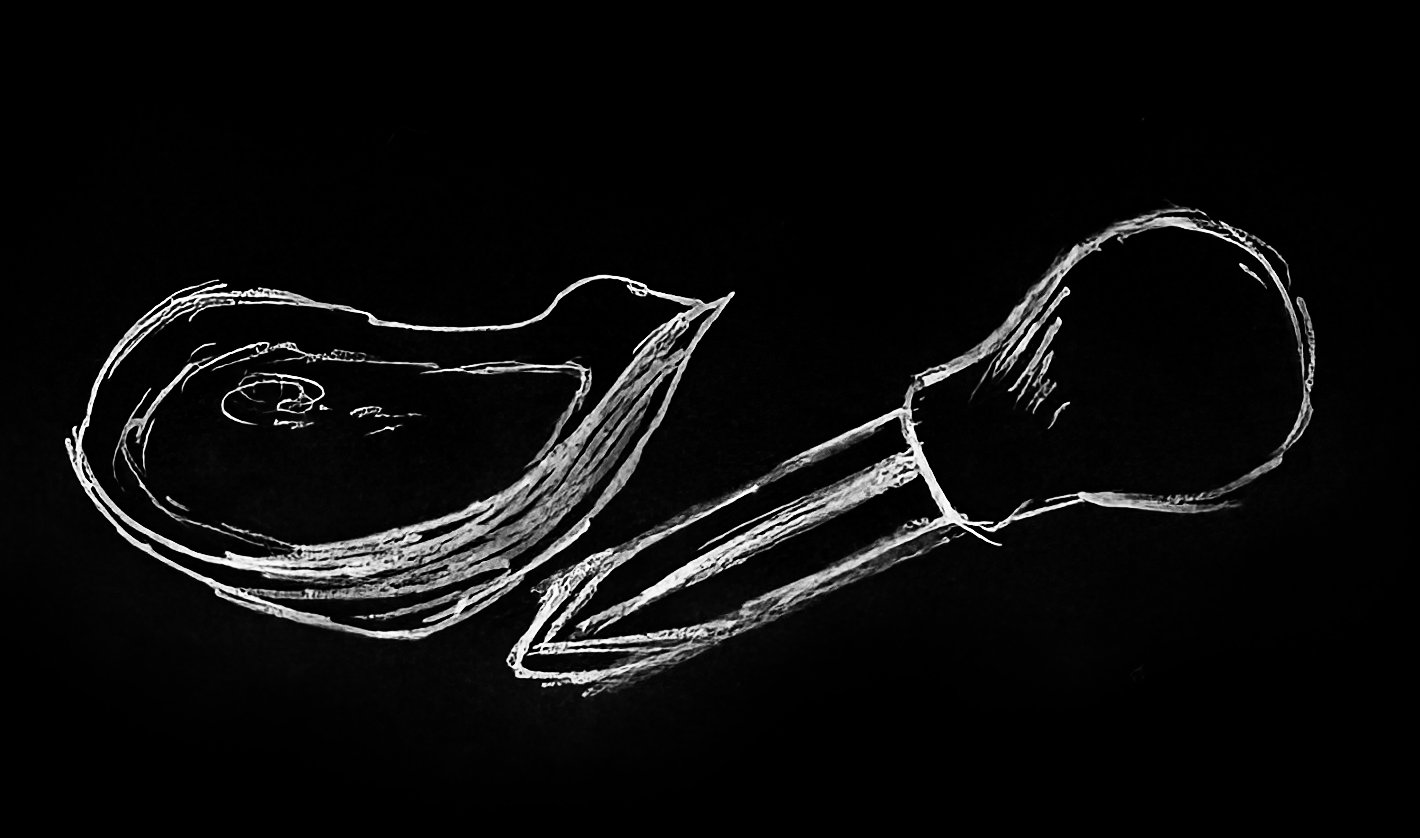 Scribble of an oyster and shucking knife